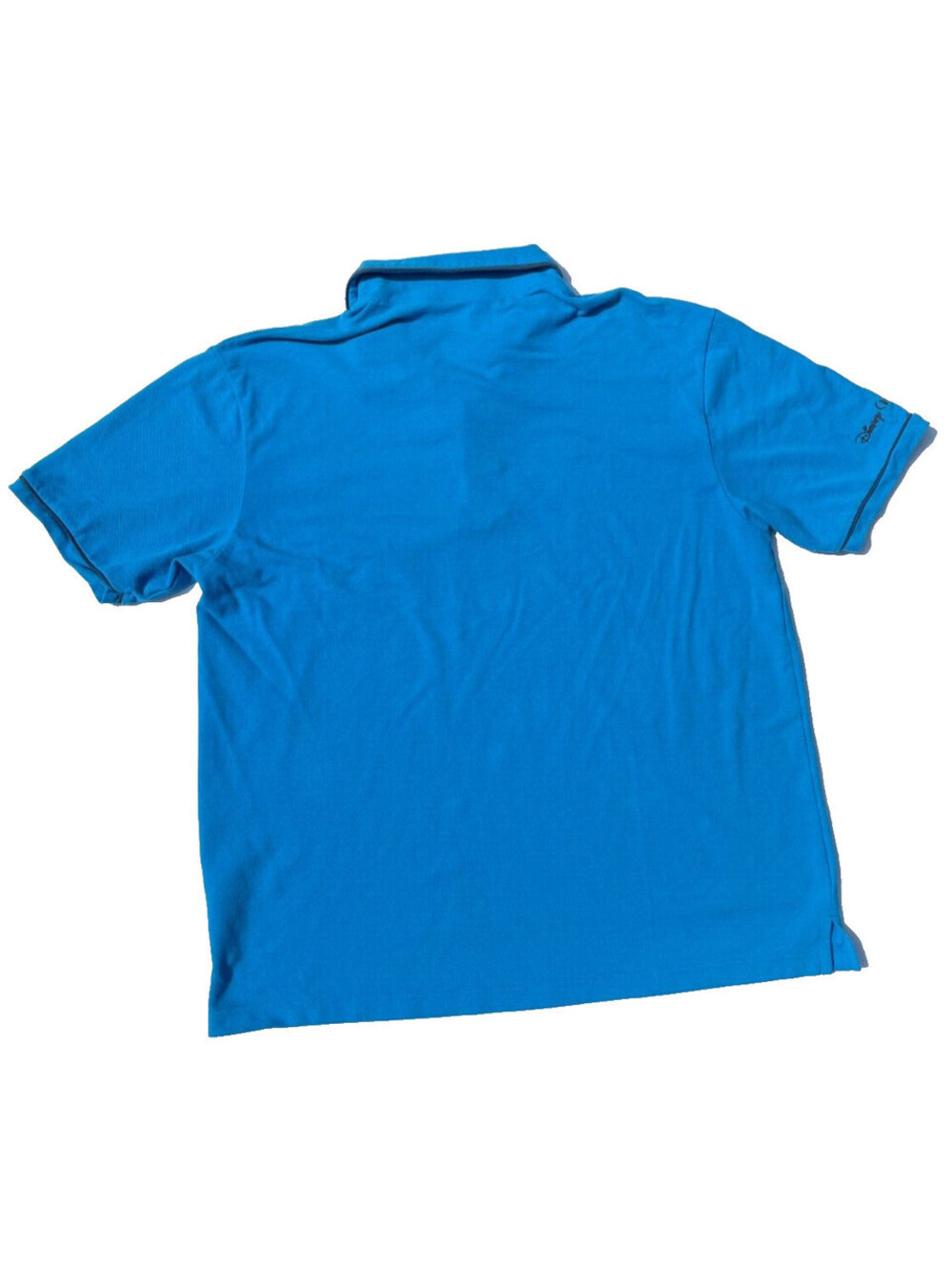 Disney Cruise Line Polo T Shirt Mens XL Collared Short Sleeve Blue Embroidered - Picture 2 of 7